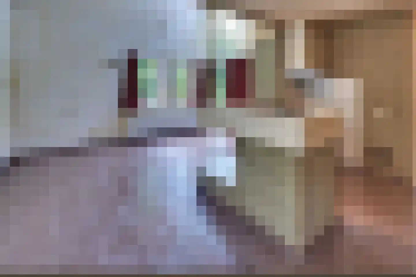 Paaslohof 3 Hierden thumbnail 9