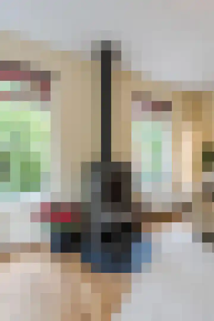 Paaslohof 31 Hierden thumbnail 11