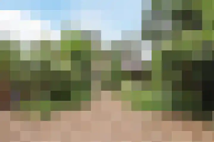 Paaslohof 31 Hierden thumbnail 16