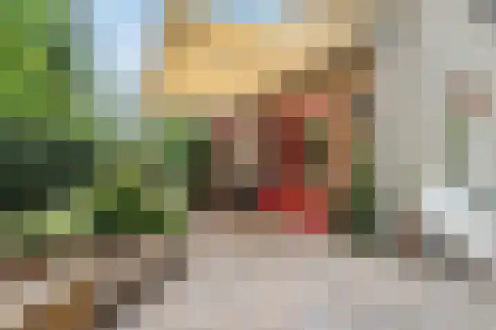 Paaslohof 31 Hierden thumbnail 18