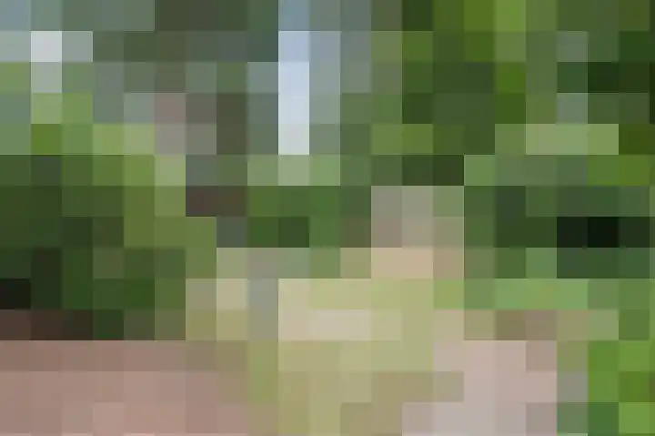 Paaslohof 31 Hierden thumbnail 19