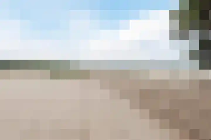 Paaslohof 31 Hierden thumbnail 22