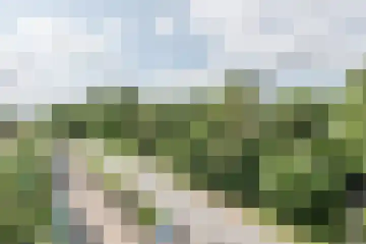 Paaslohof 31 Hierden thumbnail 27