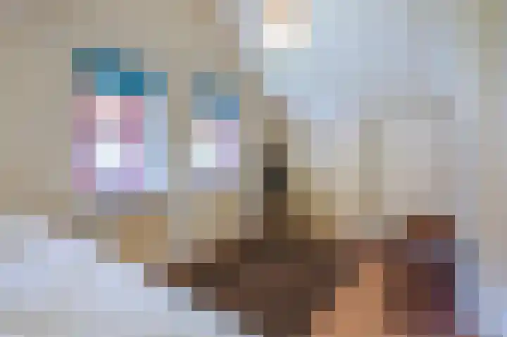 Paaslohof 31 Hierden thumbnail 31