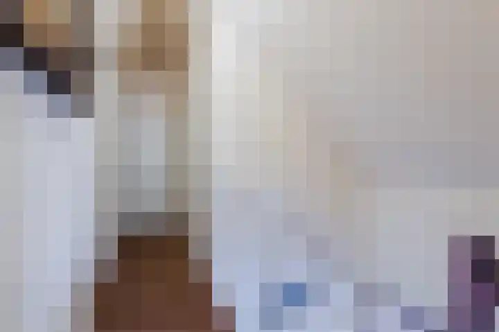 Paaslohof 31 Hierden thumbnail 37