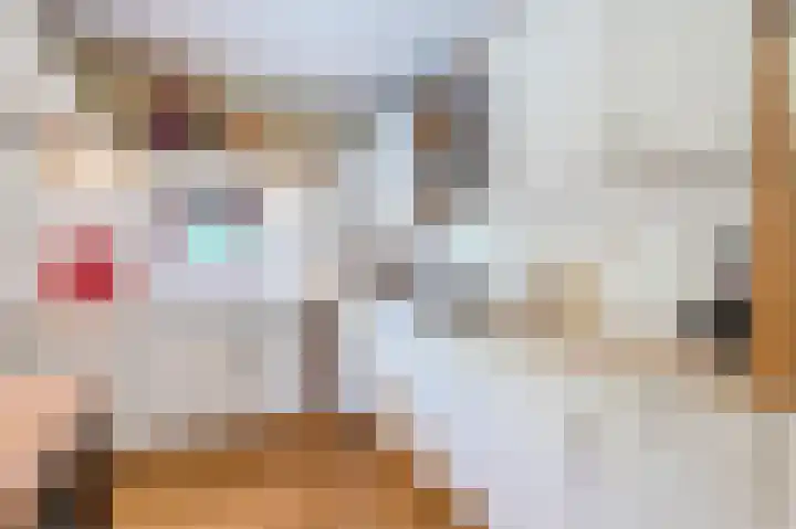 Paaslohof 31 Hierden thumbnail 41