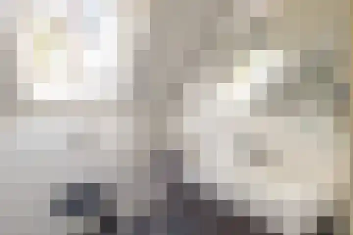 Paaslohof 33 Hierden thumbnail 14
