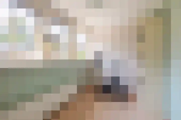 Paaslohof 33 Hierden thumbnail 18