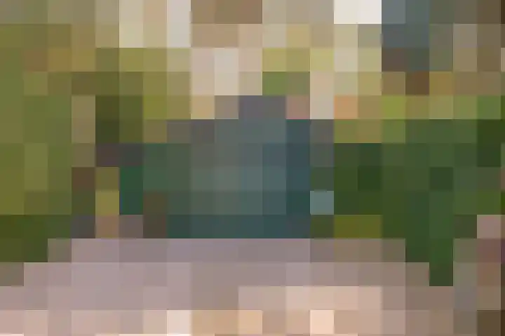 Paaslohof 33 Hierden thumbnail 20