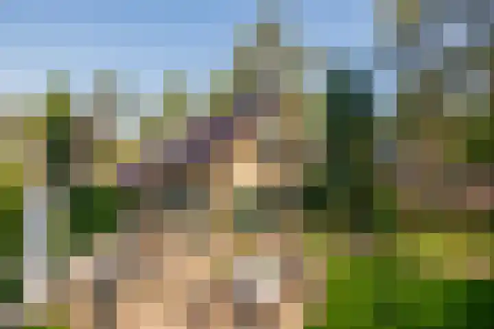 Paaslohof 33 Hierden thumbnail 22
