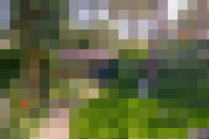 Paaslohof 33 Hierden thumbnail 25