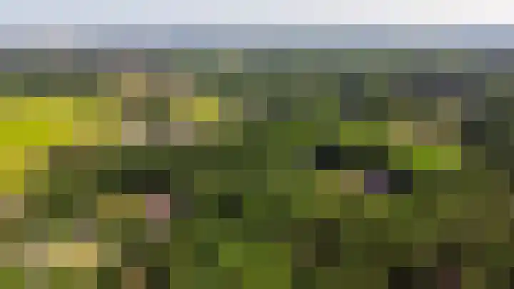 Paaslohof 33 Hierden thumbnail 28