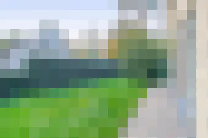 Paaslohof 39 Hierden thumbnail 11