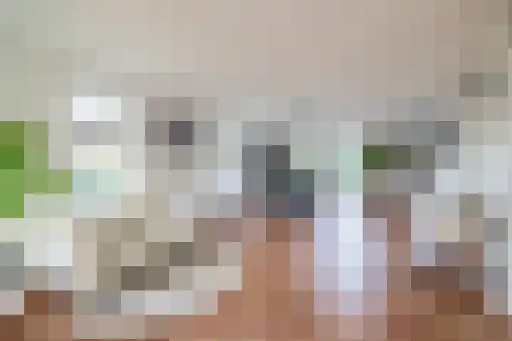 Paaslohof 39 Hierden thumbnail 15