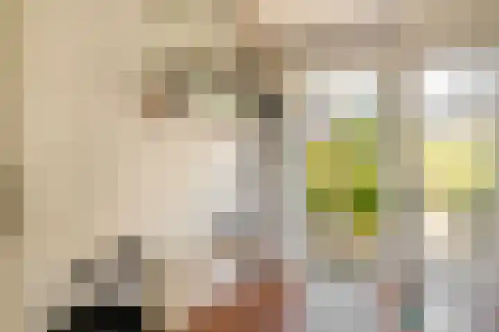 Paaslohof 39 Hierden thumbnail 24