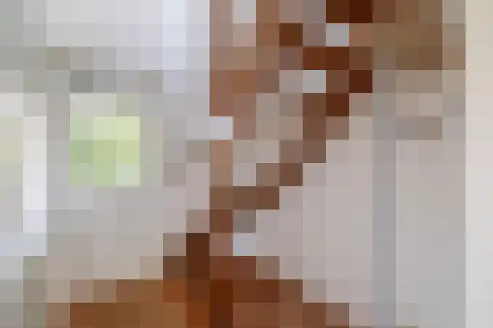 Paaslohof 39 Hierden thumbnail 26