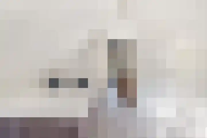 Paaslohof 39 Hierden thumbnail 31