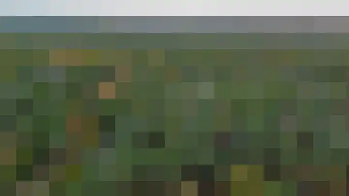 Paaslohof 39 Hierden thumbnail 36