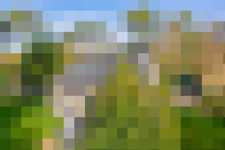 Paaslohof 39 Hierden thumbnail 4