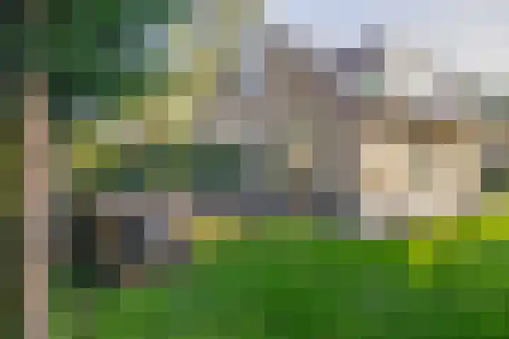 Paaslohof 39 Hierden thumbnail 7