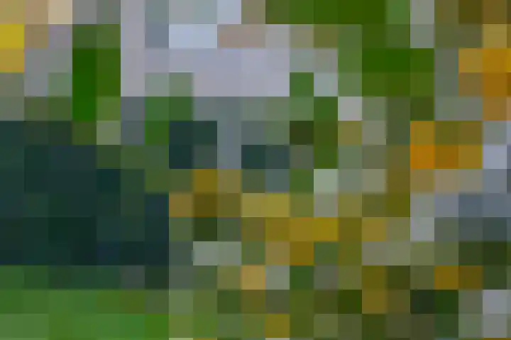 Paaslohof 39 Hierden thumbnail 9