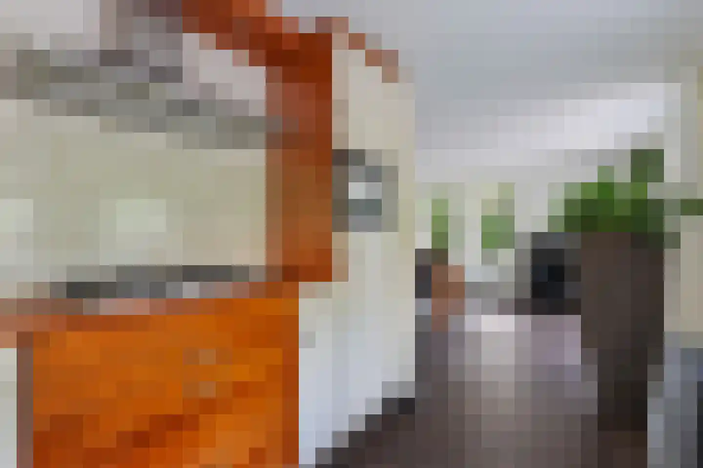 Paaslohof 41 Hierden thumbnail 11
