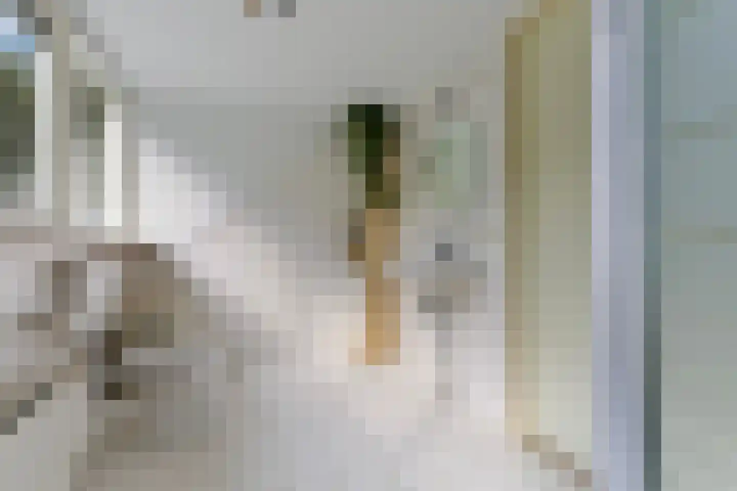 Paaslohof 41 Hierden thumbnail 22