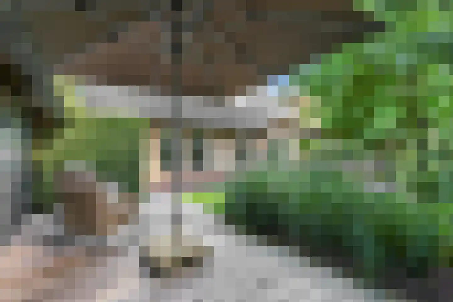 Paaslohof 41 Hierden thumbnail 25