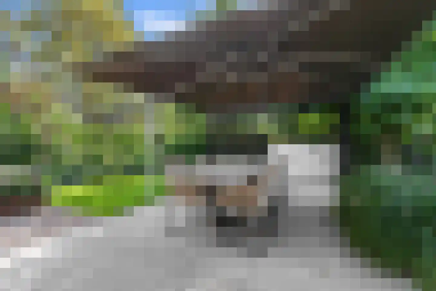 Paaslohof 41 Hierden thumbnail 27