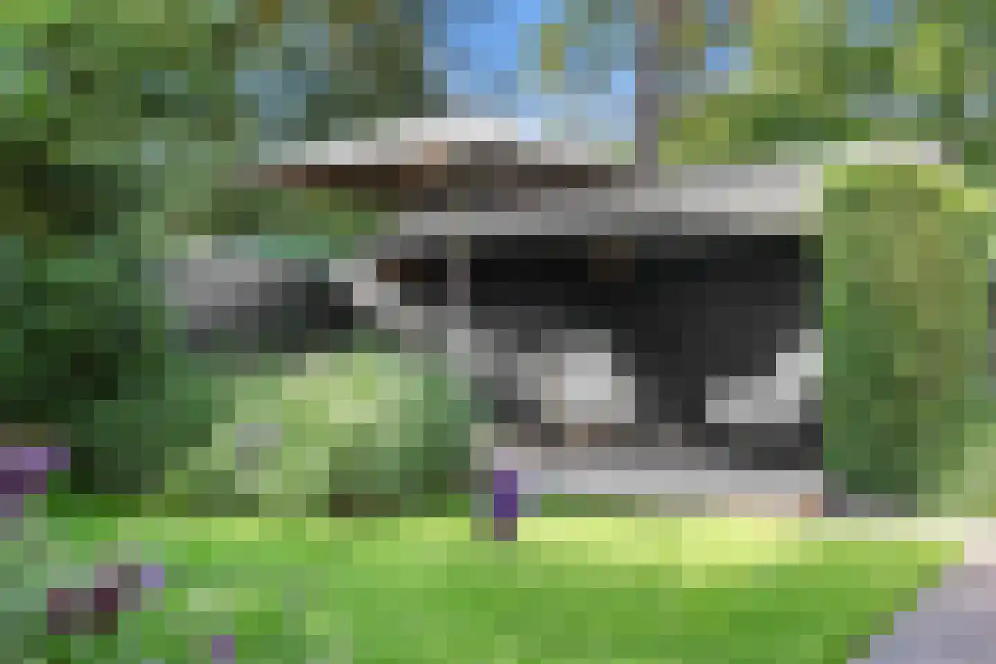 Paaslohof 41 Hierden thumbnail 29