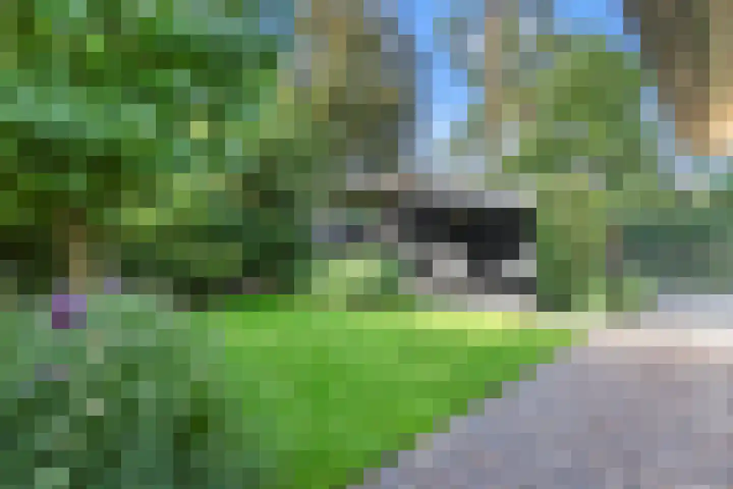 Paaslohof 41 Hierden thumbnail 30