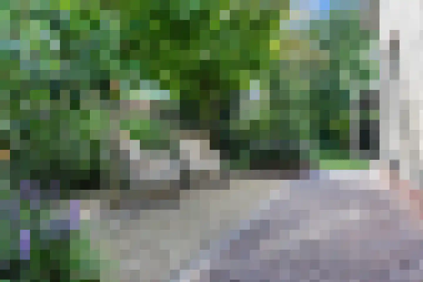 Paaslohof 41 Hierden thumbnail 31