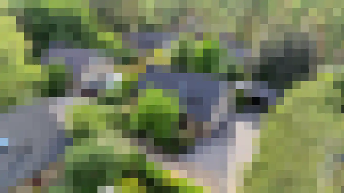 Paaslohof 41 Hierden thumbnail 35