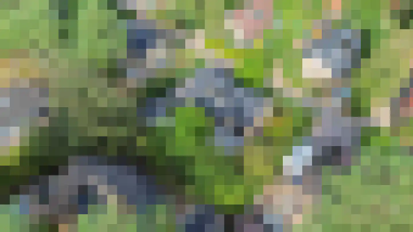 Paaslohof 41 Hierden thumbnail 36