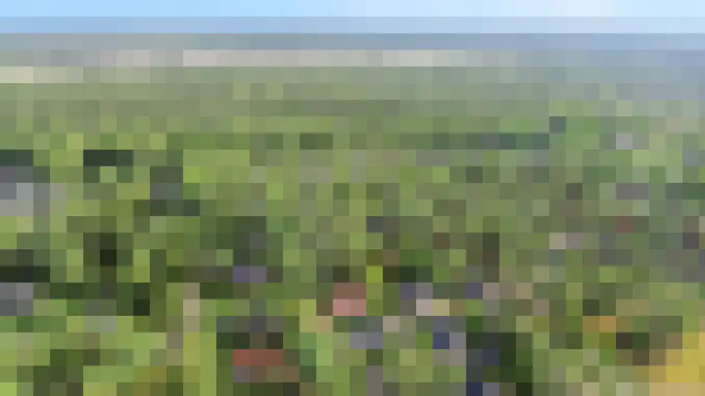 Paaslohof 41 Hierden thumbnail 37