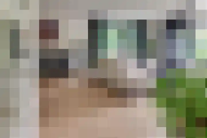 Paaslohof 6 Hierden thumbnail 10
