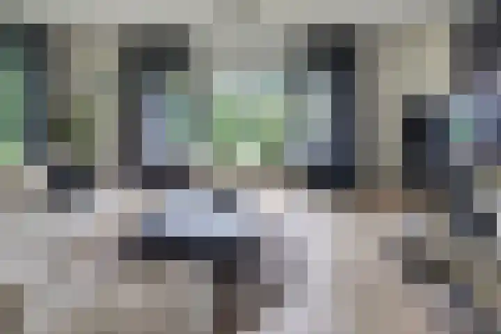 Paaslohof 6 Hierden thumbnail 11