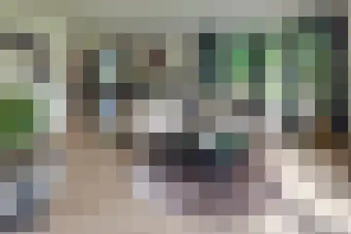 Paaslohof 6 Hierden thumbnail 14