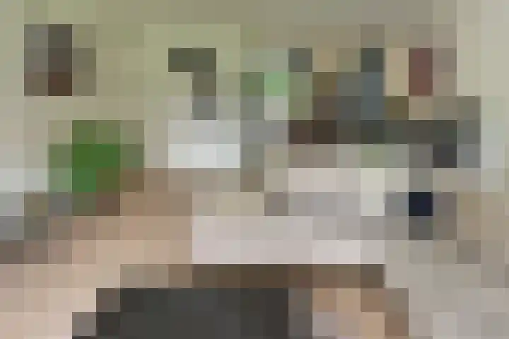 Paaslohof 6 Hierden thumbnail 15