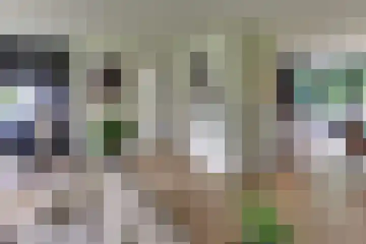 Paaslohof 6 Hierden thumbnail 17