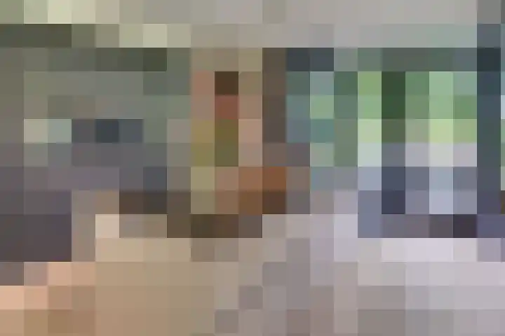 Paaslohof 6 Hierden thumbnail 22