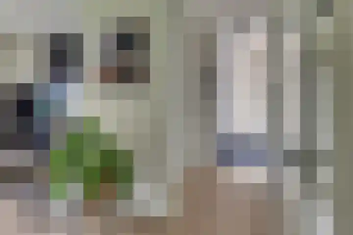 Paaslohof 6 Hierden thumbnail 26