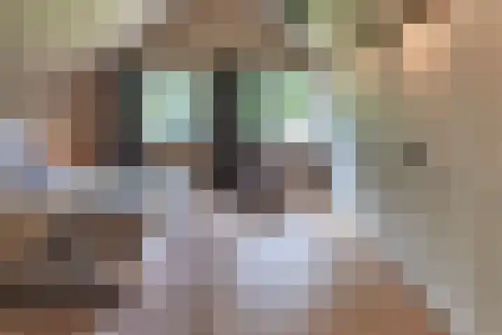 Paaslohof 6 Hierden thumbnail 29