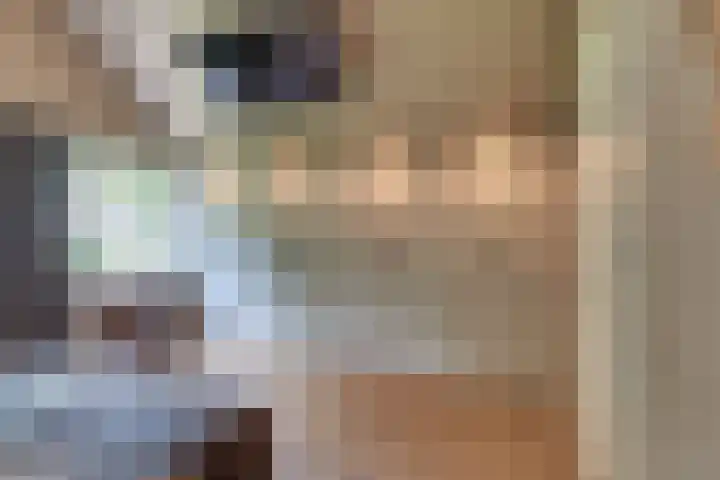 Paaslohof 6 Hierden thumbnail 31