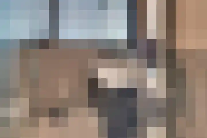 Paaslohof 6 Hierden thumbnail 37