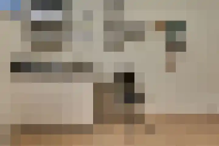Paaslohof 6 Hierden thumbnail 44