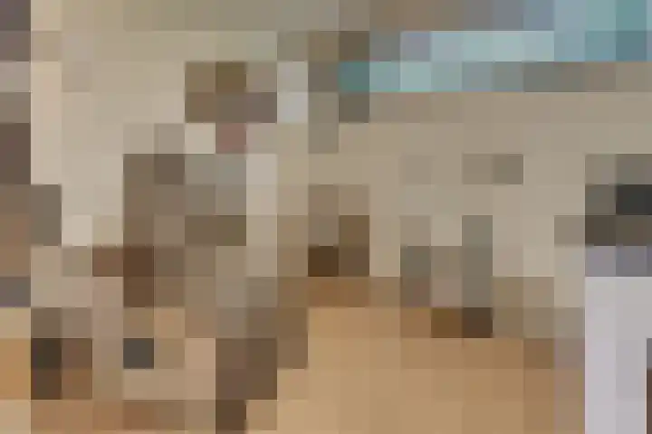 Paaslohof 6 Hierden thumbnail 45