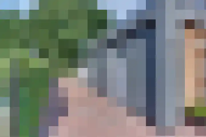 Paaslohof 6 Hierden thumbnail 47