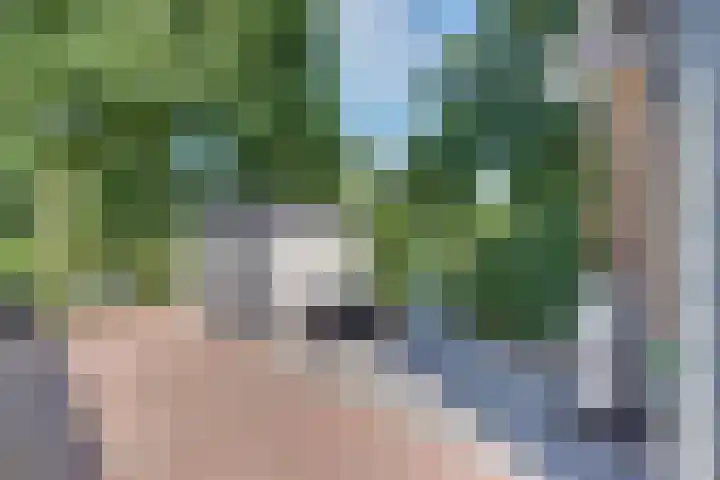 Paaslohof 6 Hierden thumbnail 48
