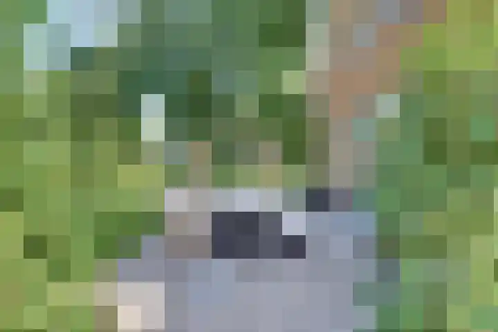 Paaslohof 6 Hierden thumbnail 49
